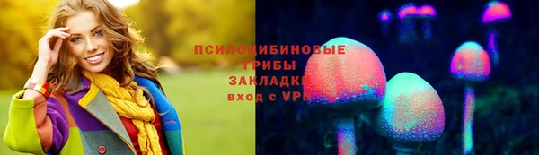 первитин Медвежьегорск