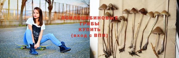 первитин Медвежьегорск
