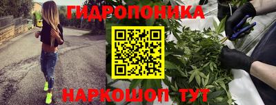 ПСИЛОЦИБИНОВЫЕ ГРИБЫ Бийск