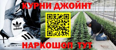 ПСИЛОЦИБИНОВЫЕ ГРИБЫ Бийск