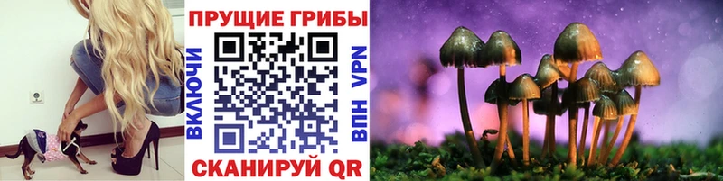 Псилоцибиновые грибы GOLDEN TEACHER Избербаш